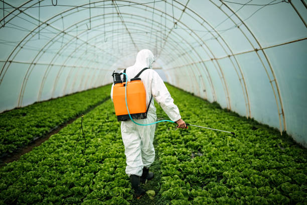 Best Pest Control Near Me  in Lino Lakes, MN