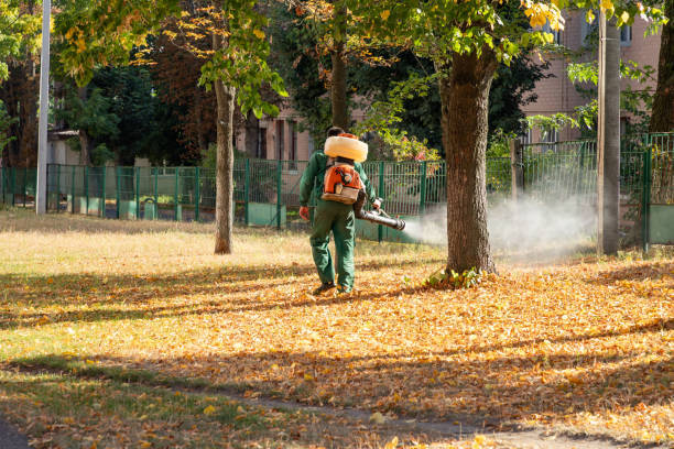 Best Emergency Pest Control  in Lino Lakes, MN